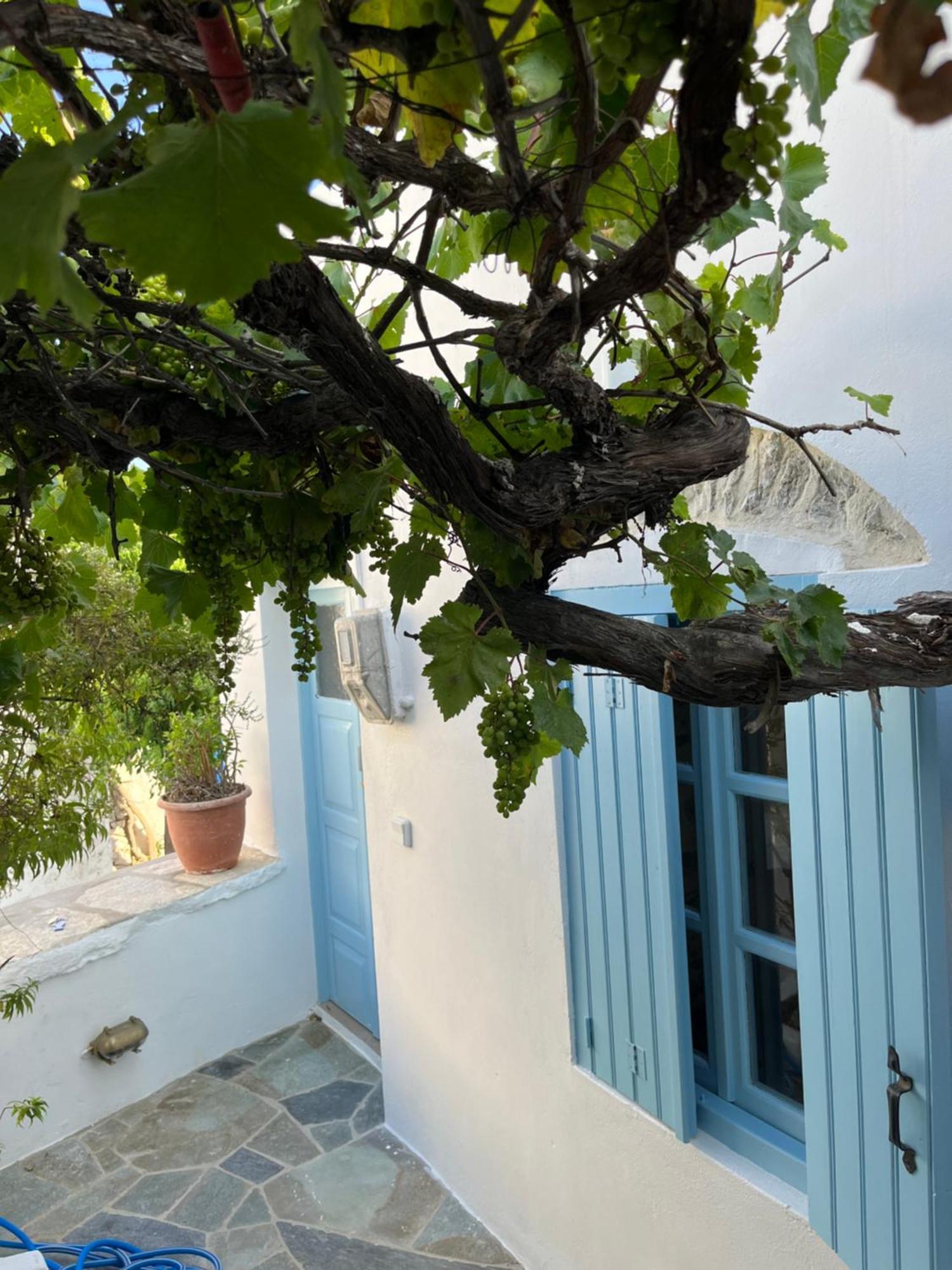 Dream House Little Villa - Αμοργός Εξωτερικό φωτογραφία